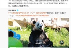 大熊猫YY最新爆料消息,揭秘神秘生活幕后故事