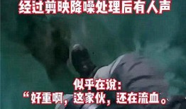 永芳最新事件爆料视频,揭秘爆料视频背后的惊人真相