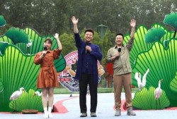 鹏哥爆料盈公主最新视频,鹏哥爆料背后的精彩瞬间