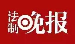嘉定新闻爆料网站最新,揭秘最新爆料背后的真相与影响
