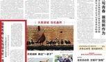天津最新事件爆料新闻报道,揭秘背后真相与影响